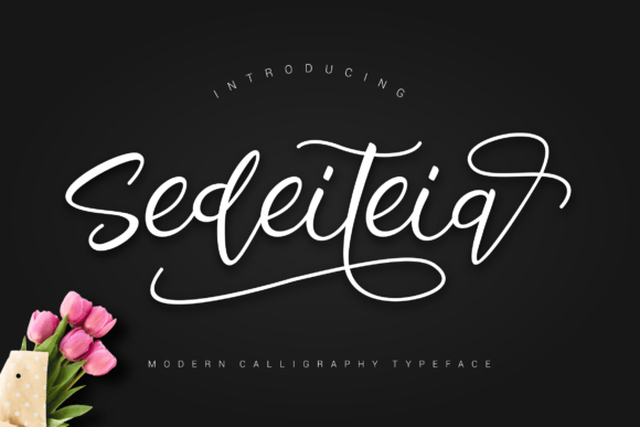 Sedeiteia Font: Bold Handwritten Style for Makers